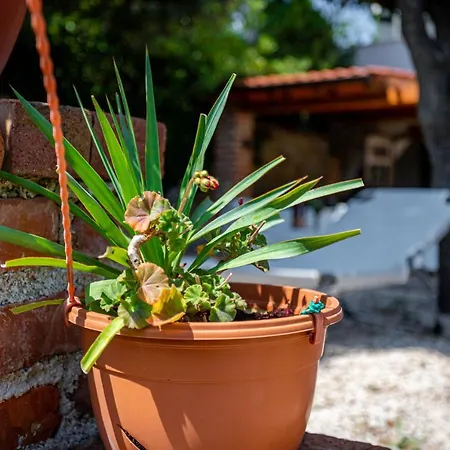 Apartment St Lucia Castle Banjol