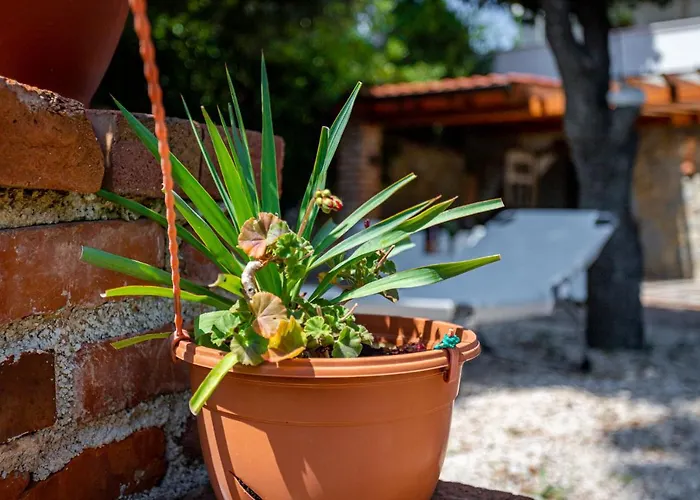 Апартаменты St Lucia Castle Банёл